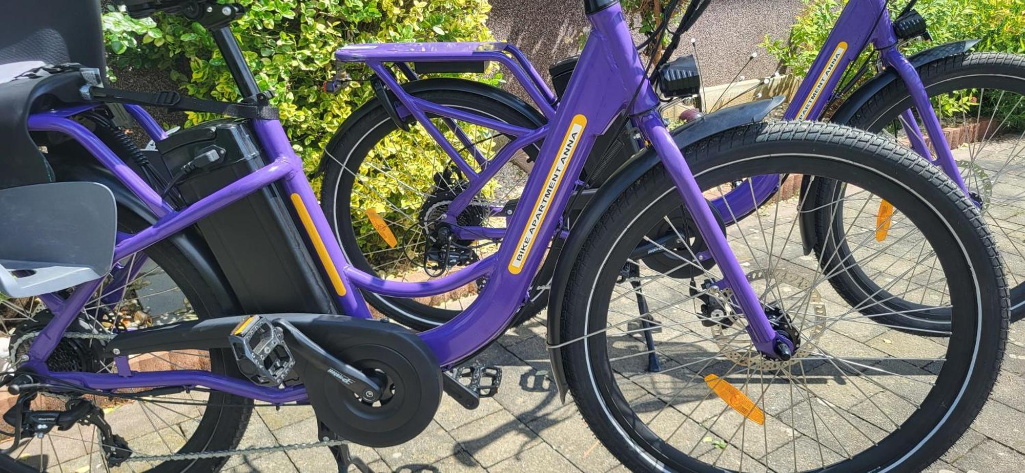 Zwei Schlafzimmer Ferienapartment Anna Am Stubenbergsee Inklusive Vier E-Bikes Exteriér fotografie