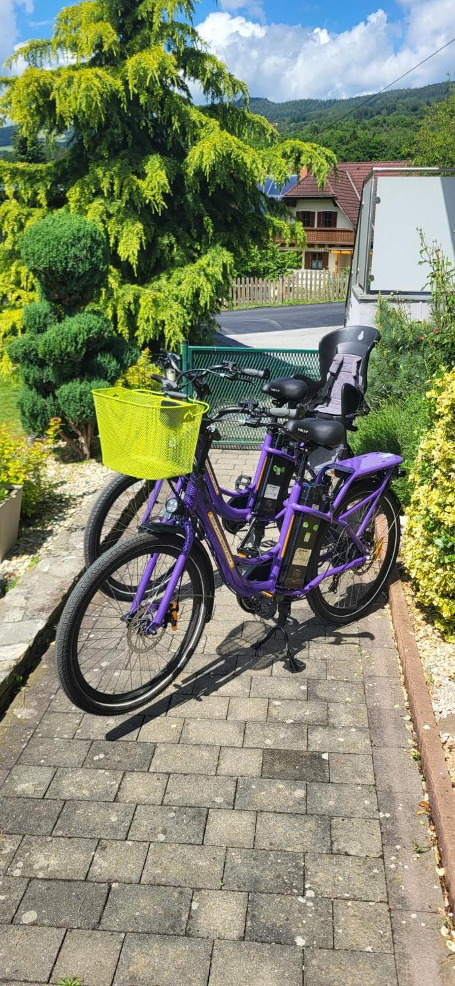 Zwei Schlafzimmer Ferienapartment Anna Am Stubenbergsee Inklusive Vier E-Bikes Exteriér fotografie